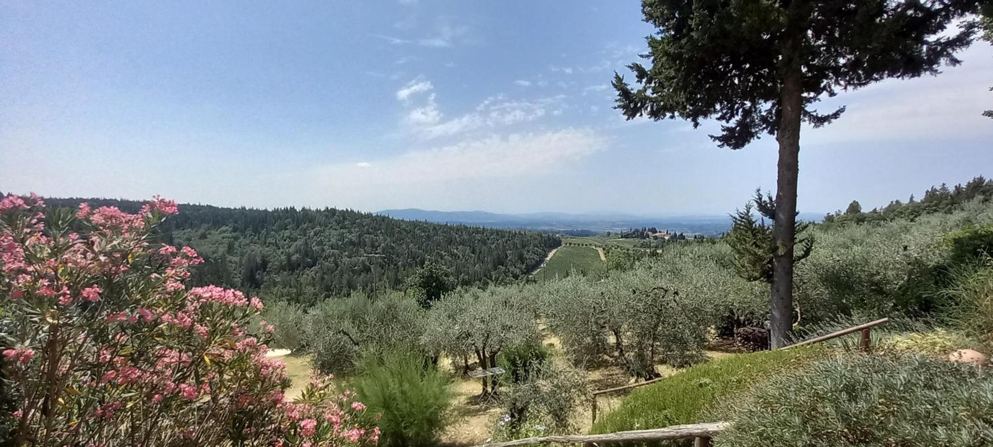 Borgo Nel Chianti Istrice Con Piscina Tennis E Wifi Castellina in Chianti Dış mekan fotoğraf