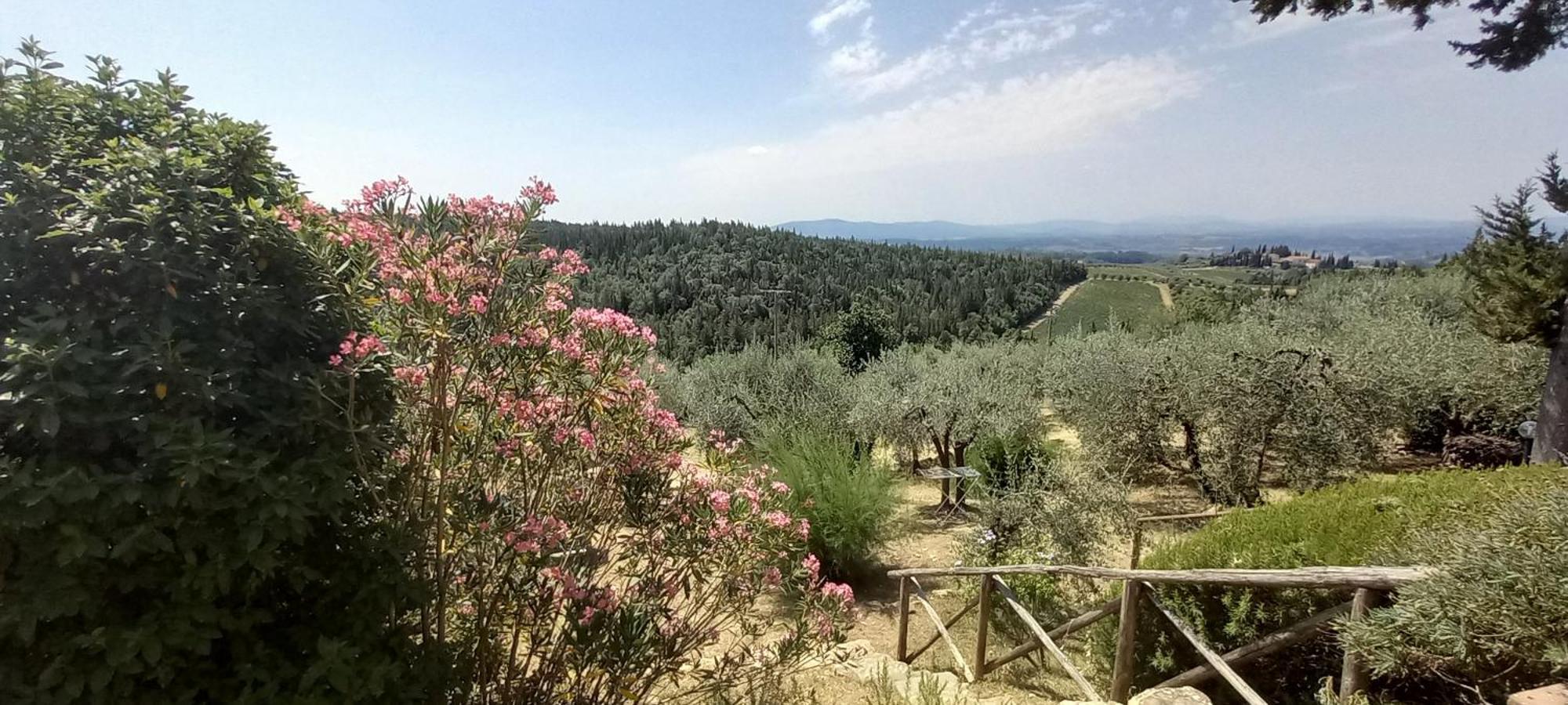 Borgo Nel Chianti Istrice Con Piscina Tennis E Wifi Castellina in Chianti Dış mekan fotoğraf